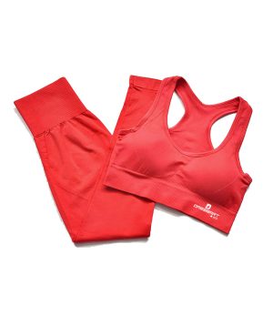 Seamless Yoga Set – High Waist Leggings & Sports Bra Combo